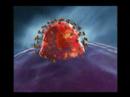 Beauty of Nature - Viruses