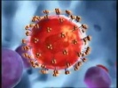 Retrovirus Replication 3D Animation
