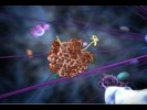 Cell Journey deep Inside